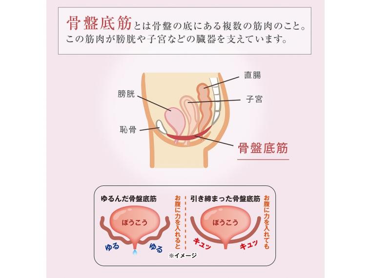 【ネット限定】傾斜でキュッとながらスリッパ　L