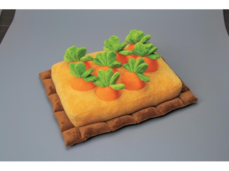 【ネット限定】ノーズワーク　にんじん採れたよ
