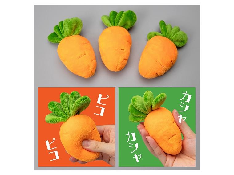 【ネット限定】ノーズワーク　にんじん採れたよ