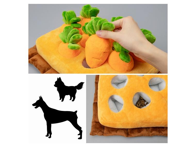 【ネット限定】ノーズワーク　にんじん採れたよ