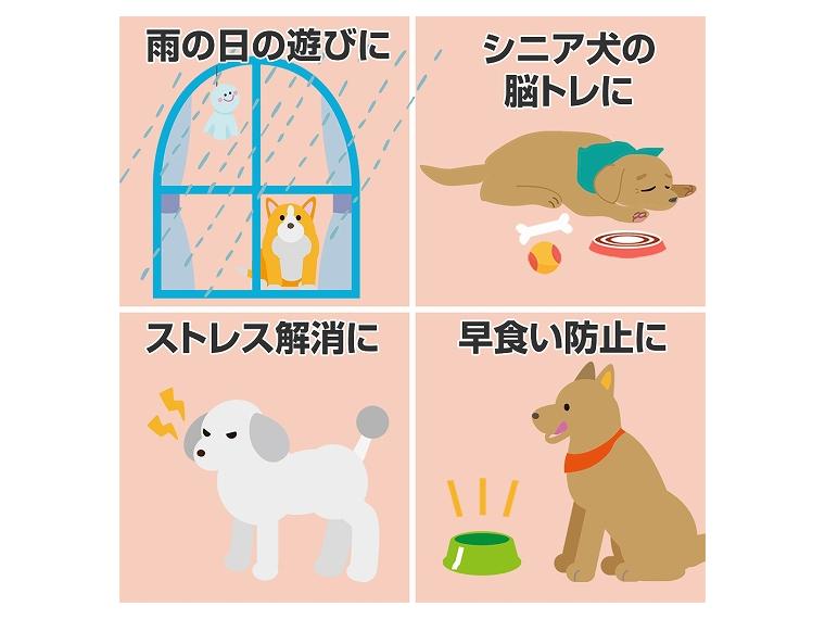 【ネット限定】ノーズワーク　にんじん採れたよ