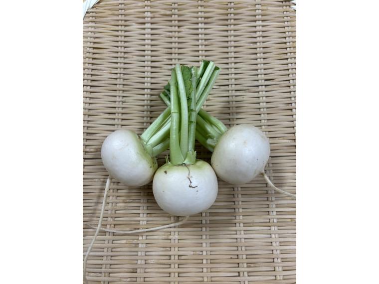 【ネット限定】有機かぶ