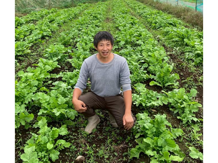 【ネット限定】有機かぶ