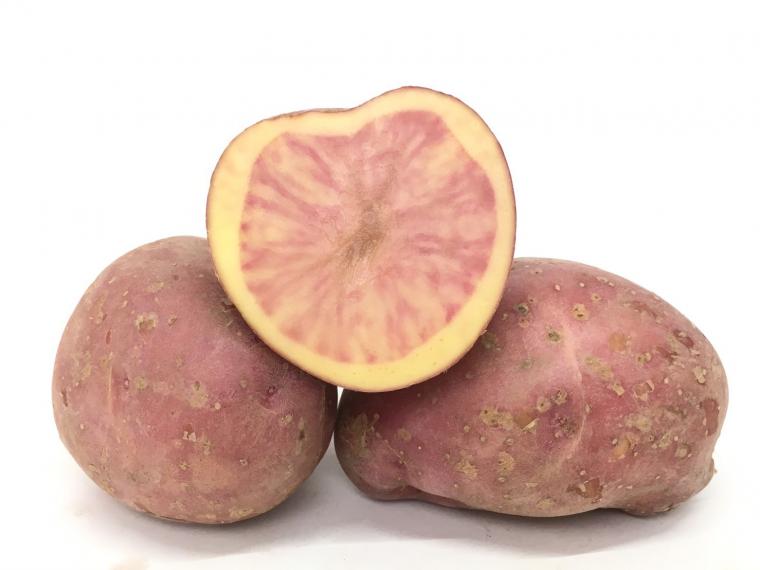 【ネット限定】カラフルじゃがいも（インカレッド）