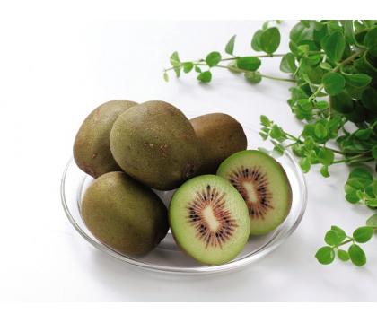 【ネット限定】国産小玉キウイフルーツ（レッドキウイ）