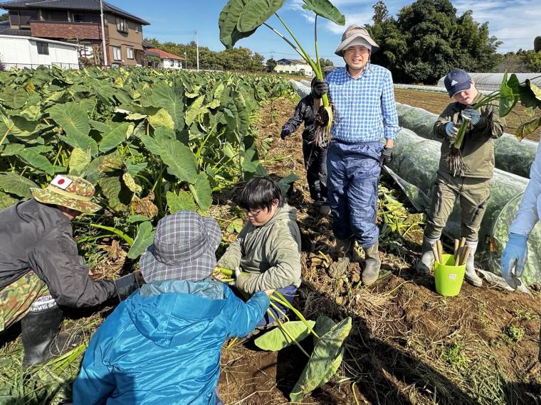 【ネット限定】農福連携企画『しいのみ応援野菜セット』