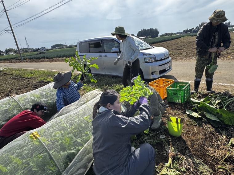 【ネット限定】農福連携企画『しいのみ応援野菜セット』