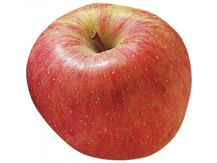 【ネット限定】大玉りんご（ふじ）