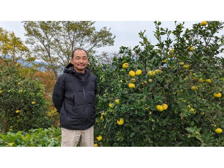 【ネット限定】福岡自然農園の無無グレープフルーツ（オロブロンコ）