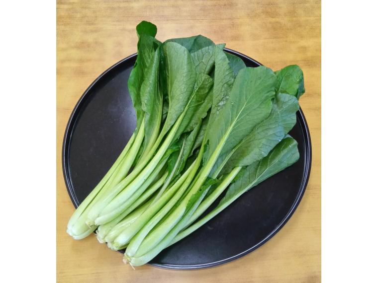 【ネット限定】木内さんのたっぷり小松菜