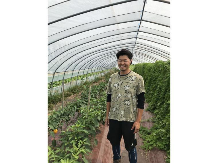 【ネット限定】北海道産有機かぼちゃ