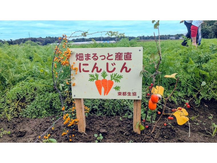 【ネット限定】畑まるっと産直にんじん（箱規格）