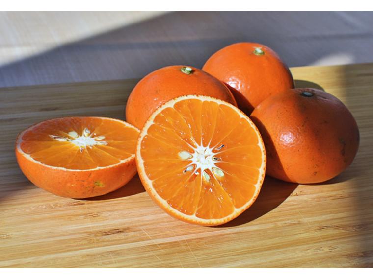 【ネット限定】大矢野の潮風浴びた芳醇みかん（みはや） 