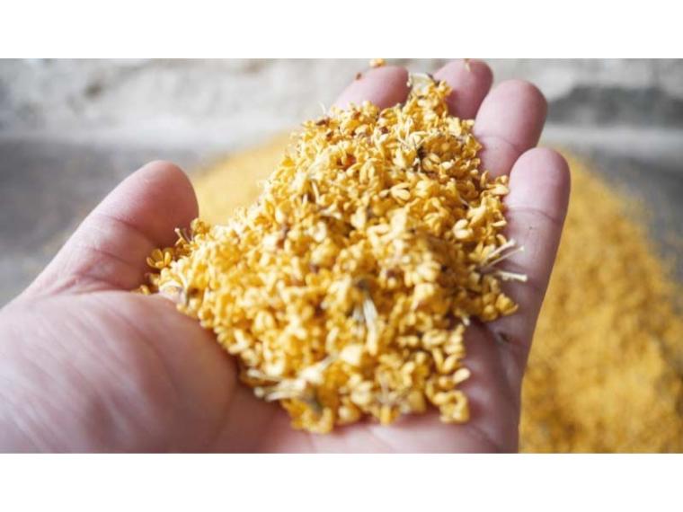 【ネット限定】金木犀　ネイルオイル　２ｍｌ