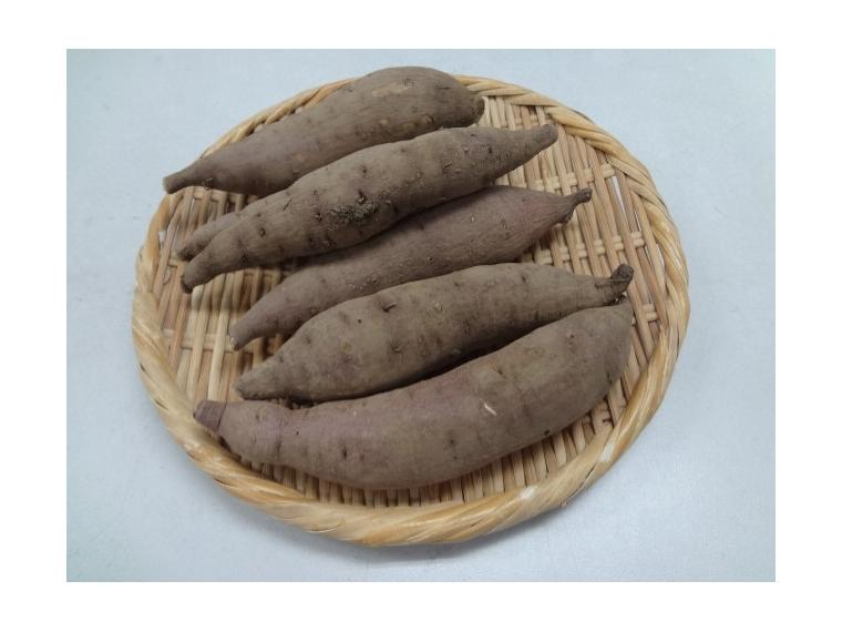 【ネット限定】有機さつまいも（べにはるか）