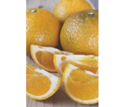 【ネット限定】福岡自然農園の無無スイートスプリング