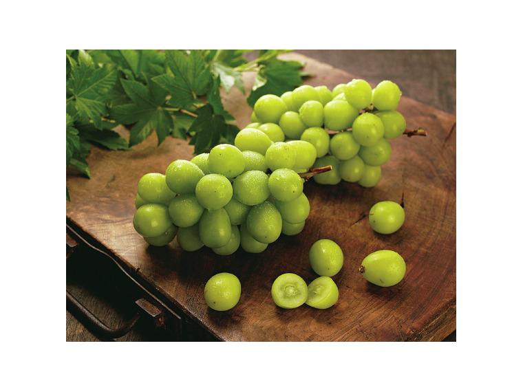 【ネット限定】ぶどう（シャインマスカット）