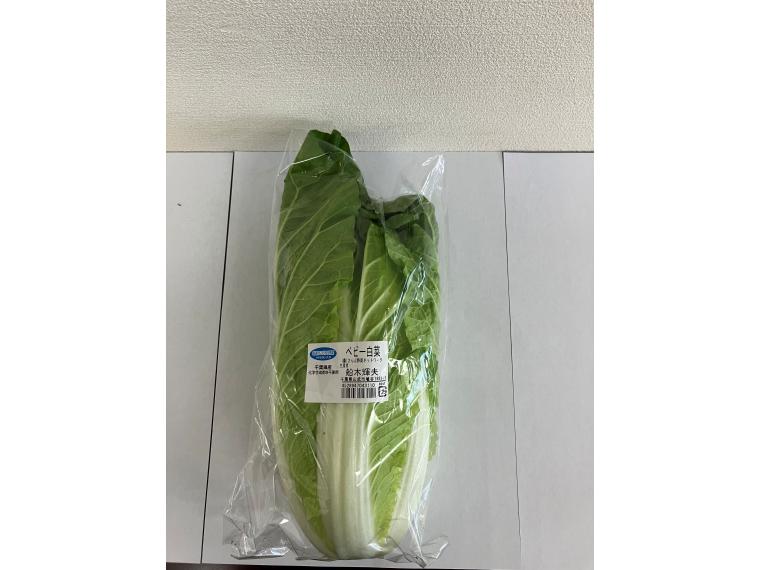 【ネット限定】無無ベビー白菜