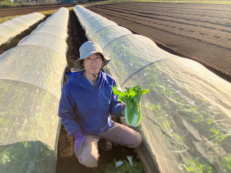 【ネット限定】無無ベビー白菜