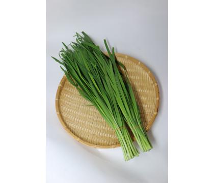 【ネット限定】金親さんのたっぷりにら2束