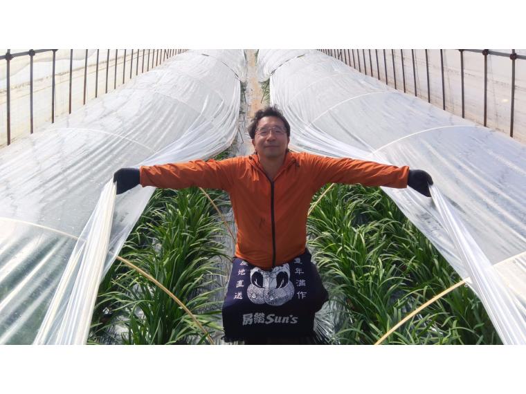 【ネット限定】金親さんのたっぷりにら2束