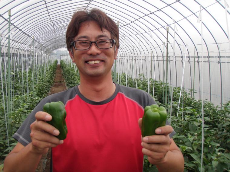 【ネット限定】房総食料センター　地球思いやり野菜セット