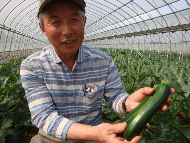【ネット限定】房総食料センター　地球思いやり野菜セット