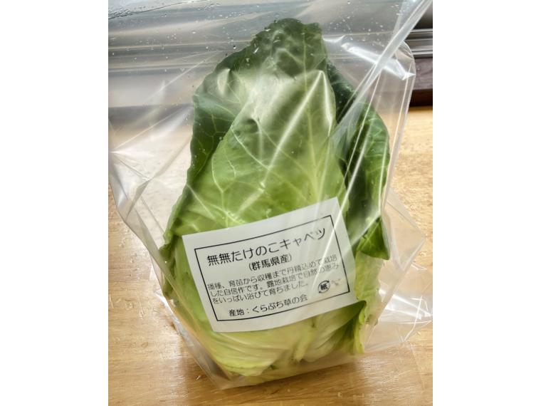 【ネット限定】無無たけのこキャベツ