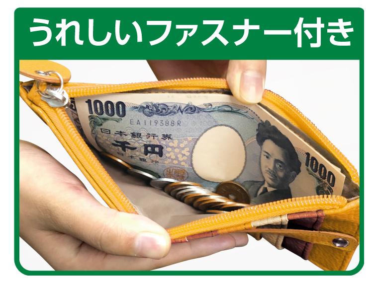 【ネット限定】ファスナー付き大収納カードケース　ふくろう