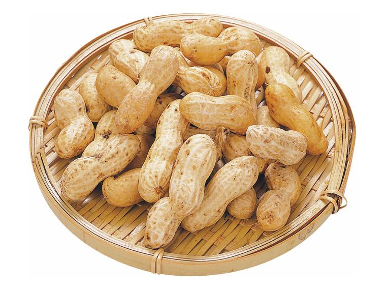 【ネット限定】房総食料センターの生落花生