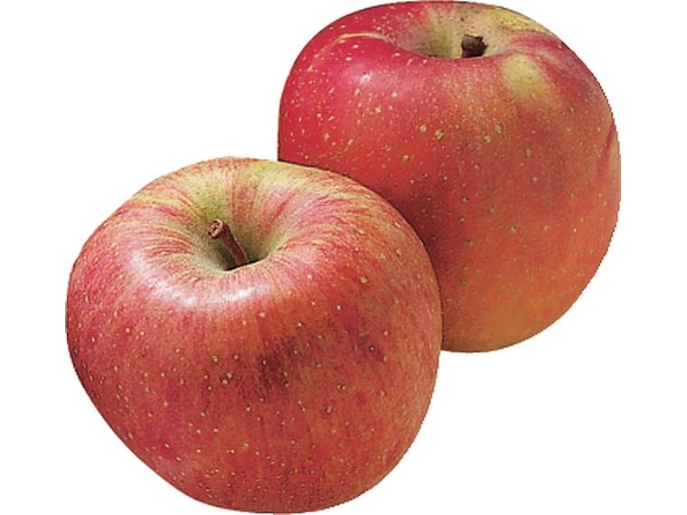 有袋りんご（ふじ） 2玉（450g）