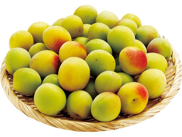 梅干し用梅（十郎梅） 1kg（L〜2L）