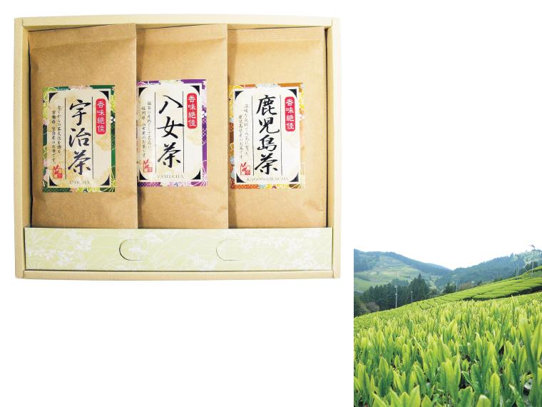 自宅 西日本茶産地味めぐりギフト 宇治茶・八女茶・鹿児島茶 各120g