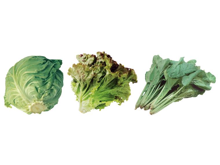 くらぶち草の会みのり野菜セット 3種