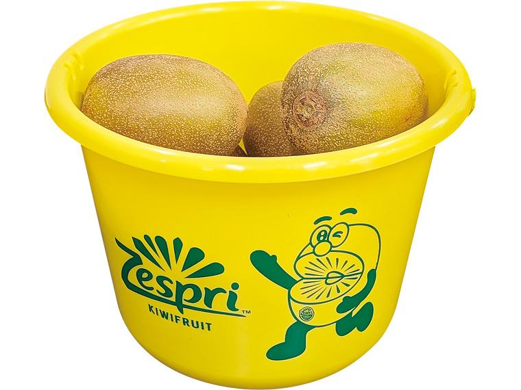 ニュージーランド産有機サンゴールドキウイフルーツ（バケツ入） 1ｋｇ（7〜9玉）