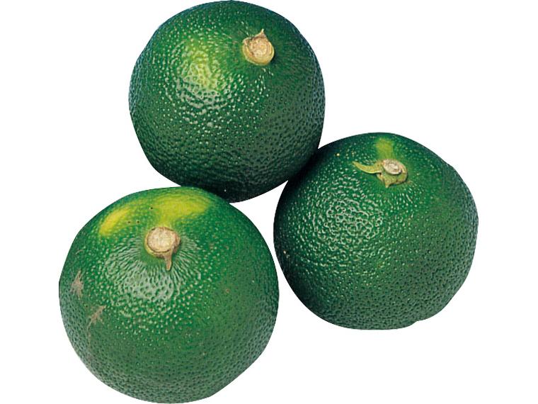 すだち 100g（3〜6玉）