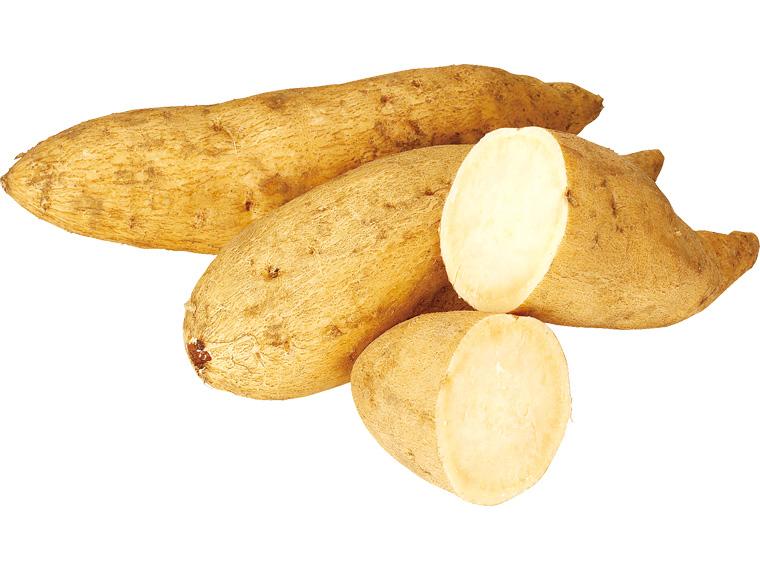 登録　さつまいも日本漫遊（受付） 350g〜900g