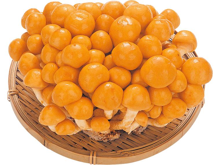 株採りなめこ 150g