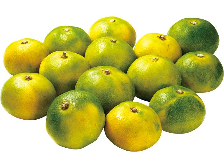保内(愛媛)極早生みかん 1kg（2S〜L）
