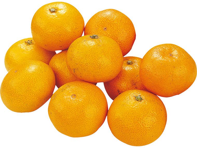 早生みかん（大袋） 1kg（2S〜L）