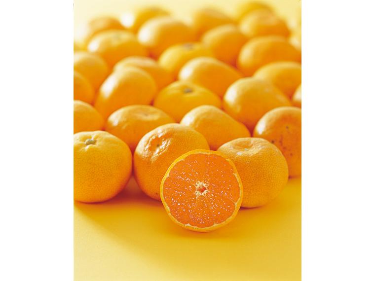 早生みかん（大袋） 1kg（2S〜L）