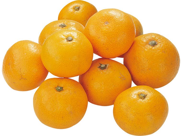 保内(愛媛)早生みかん 1kg（2S〜L）