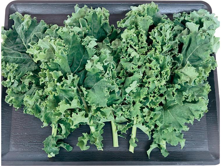 有機ケール 100g