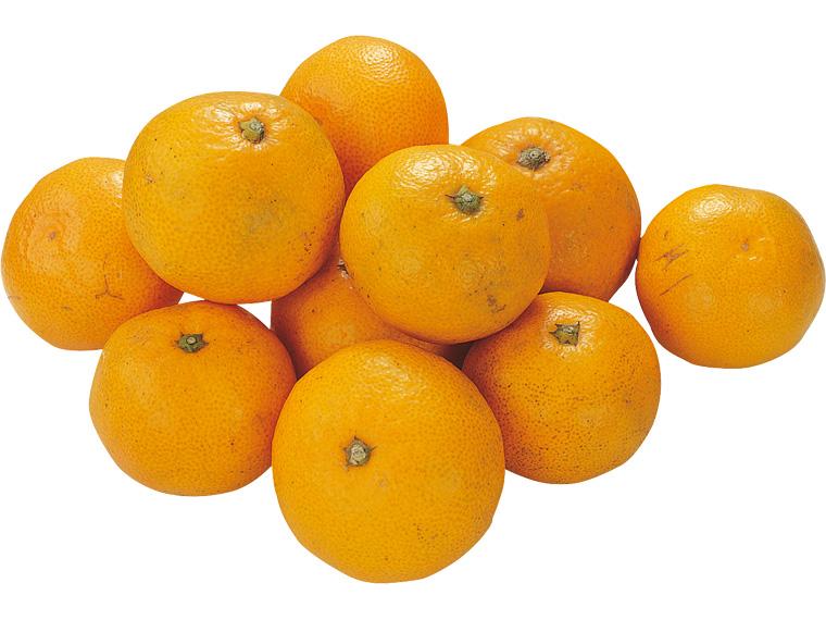 保内(愛媛)早生みかん 1kg（2S〜L）