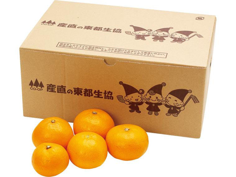 大矢野(熊本)早生みかん 2kg箱（2S〜L）