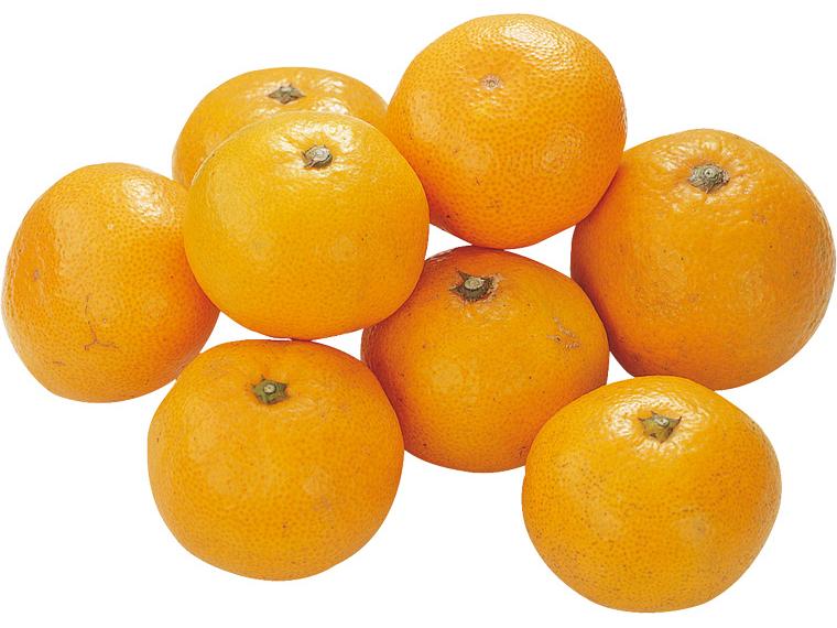 味もっこす（熊本）早生みかん（光センサー選別） 800g（2S〜L）