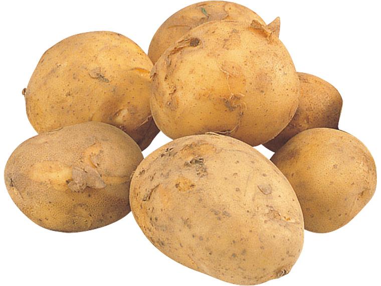 じゃがいも（男爵）８００ｇ　　　　　　