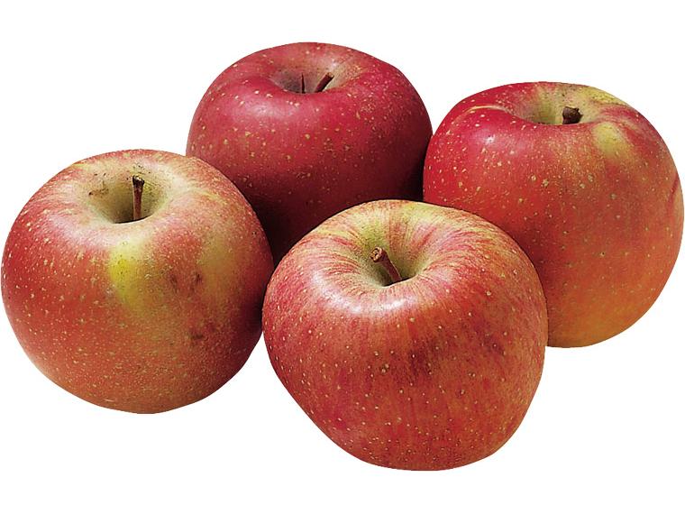 信州無袋りんご蜜入りふじ大袋１．２ｋｇ