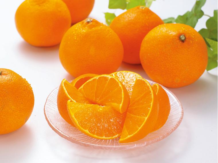 愛媛まどんな 400g（2〜3玉）