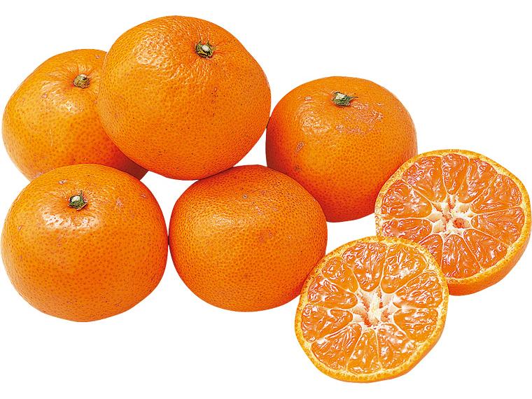 糖度保証　有田（和歌山）みかん６００ｇ